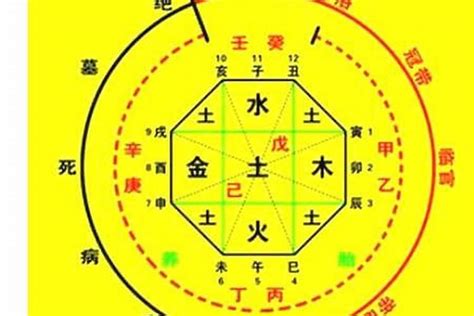 八字命盤 免費|生辰八字算命、五行喜用神查詢（免費測算）